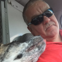 Steve Bebko