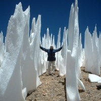 Aldo Luigi Fumanelli