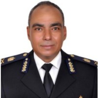 waleed arafat