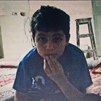 Soheil Hashemi
