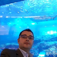 Davide Pulici