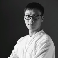Hoang Viet Tran