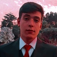 Gabriel Furlan De Souza