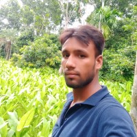 Saju Islam