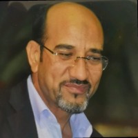 Reda A. Abouelenin