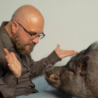 David Bernert