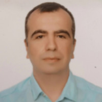 Metin EFE