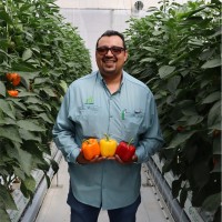 David Ulises Arevalo Espitia