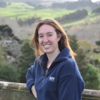 Laura Haynes