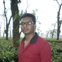 David Nayan