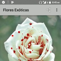 Gerado Acota
