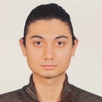 Oguzhan Gok