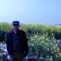 Kong Yin(Weizhou)