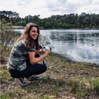 Linsey van Overveld