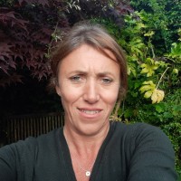Alison Debney