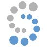 Softline Analyst