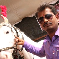 P F Shinde