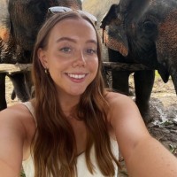Katy Phipps