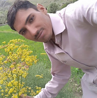 Gotam Bhadu