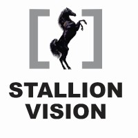 Stallion Vision