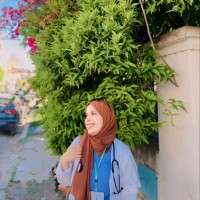 Dridi Safa