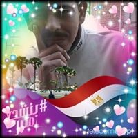 وائل حفيظ