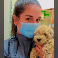 Nazary Reyes Alvarado