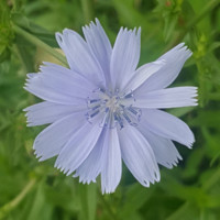 Marta A. Clark, MBA, PHR, SHRM-CP