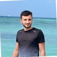 MHER HAYRAPETYAN