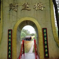 卢志金