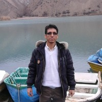 Hamid Safarian