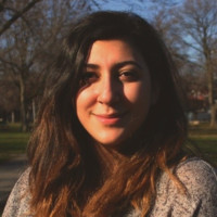 Dina Al-Wer