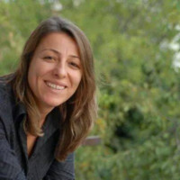 Gülay Körükmez