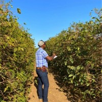 Cleiton Gonçalves Rodrigues