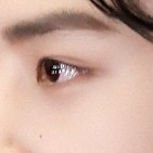 lien vo t
