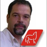 Willy WOLF PRODUÇÕES