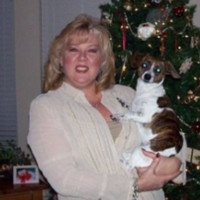 Traci Nau, Cas