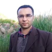 Shadi Al-Refaie