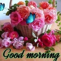 shorif mahmud