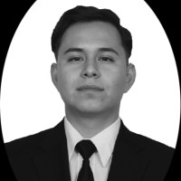 Erik Ventura Rico Guevara
