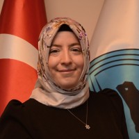 özlem A.