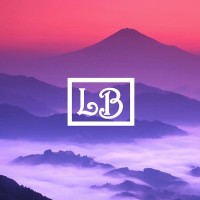 Levi Burns