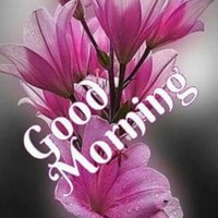 Anand Parmar