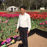 David Nguyen (Newan)