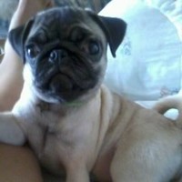 Candelaria Rodriguez Ortiz