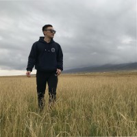 赵英杰