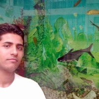Arvind Mishra
