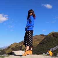 Fanqi Liu