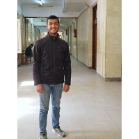 Mahmoud Elsayed