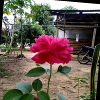 Arif Saputra